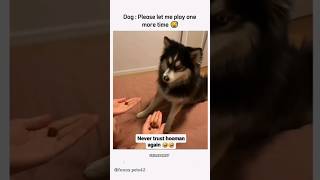 Funny Animals 2023 😂 - Funniest Cats and Dogs video 🐱 🐶 #shorts