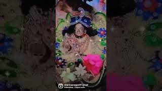 laddu gopal status#shorts# video