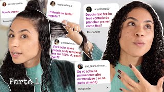 Cabelo com Scab Hair se recupera 100%? Permanente Afro na transição e +... | Ludmila Reis