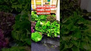 দানশীল ব্যক্তিকে আল্লাহ পাক ভালোবাসেন#sorts #mijanur_rah_man_ajhari_waz #vairal#trending waz🤲🤲🤲🤲