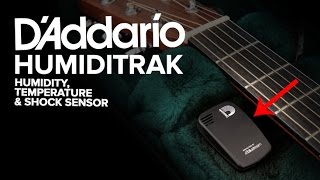 Strings Direct TV | D'Addario Humiditrak | Humidity, Temperature & Drop Shock Sensor