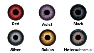 The Rarest Eye Colours Explained in 90 Seconds