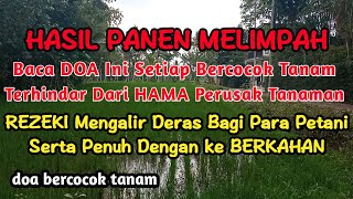 BACA DAN AMALKAN✔️DOA BERCOCOK TANAM, Agar Tanaman Tarhindar Dari Hama Dan Penyakit~Cahaya Doa