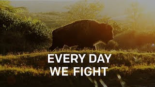 Every Day We Fight