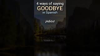 How to say Goodbye in Spanish?