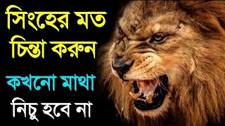 সফল হতে হলে সিংহের মত Attitude তৈরী করুন | Bangla Motivational Video