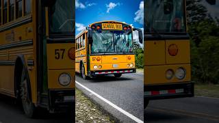 Buses de la zona sur 🫣😎📸 #fotos #conductores #trailero #capcut #capcutedit #fotografia #foto  #short