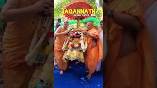 Jai Jagannath | Rath Yatra Puri #purijagannath #shortsvideo