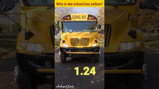 Why is the school bus yellow? interesting facts || #shorts