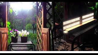 🍆 Garden Mars Hydro (1) 🍆 & SP 150 LED Lamp Test 🍆Test Lampy LED SP 150