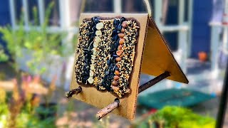 How to Make Seed Mosaic Bird Feeders: A Fun and Easy Seasonal Nature Craft for Kids