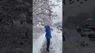 Winter in Canada | Snow Short Video | Montreal | Canada | Namrata Joshi