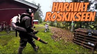 Puhalletaan lehtiä LEHTIPUHALTIMELLA 🍁🍂 Stihl BR700