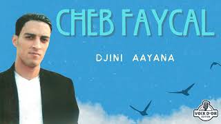 Cheb Faycal - Djini aayana