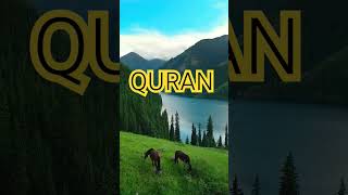 Surah Maidah Ayat No 48 urdu translation #shorts#reels#viral #islamic#youtube#viral