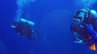 Simply the Best - Red Sea liveaboard dive holiday aftermovie @ Blue Melody, Blue o two