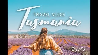 Touring Tasmania—Part 1: Bridestowe Lavender Estate & Bay of Fires