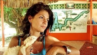 Busca Pro Vida Animal de Tulum  AC  el respeto a la Ley de Protección y Bienestar Animal