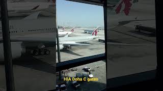 Qatar Airways aircraft at HIA Doha C gates during the morning bank of departures.