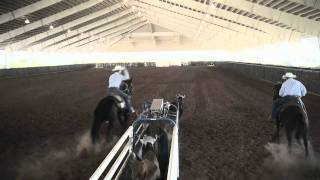 Iconoclast Equine Support Boots Team Roping Promo.mov