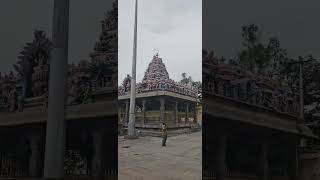 Tiruvannamalai Kovil Periya Nandi # Kovil #Devotional music#god #saamy#kadavul# Temple #yt#minivlog