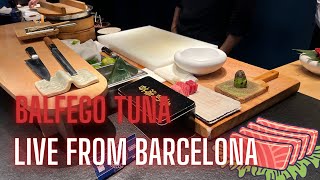 12.) BALFEGO TUNA in BARCELONA 🐟🇪🇸