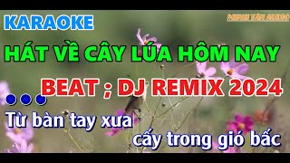 Karaoke Nhạc Remix _Hát Về Cây Lúa Hôm Nay nhạc Dj Remix Hay Nhất 2024|Minh Tan Beat