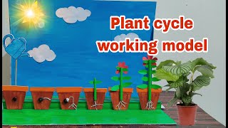 Plant life cycle working model