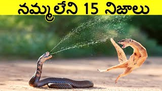 Top 15 Interesting Facts In Telugu | amazing Telugu facts | Unknown Telugu Facts Ep-43 |CTC Facts