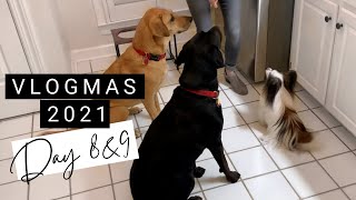 VLOGMAS 2021 Day 8&9 | Puppies! | Health Talk | Always Learning | Kathryn Morgan