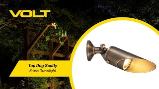 VOLT® Top Dog Scotty Brass Downlight (Bronze) | What's In The Box?