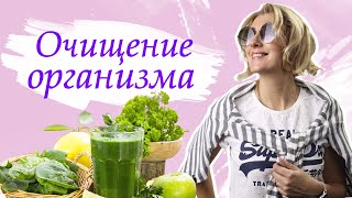 12 главных шагов к очищению организма // Программа чистки организма