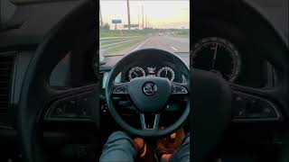 How to enable adaptive lane guidance Škoda Kodiaq? | Lane Assist