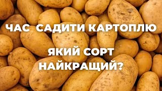 Який сорт картоплі краще садити