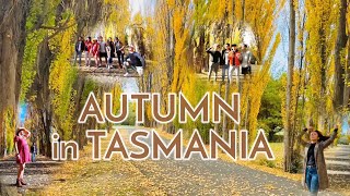 Autumn in Tasmania - Salmon Ponds 🍂🍁🐟