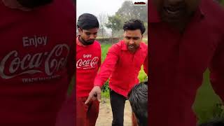 टिटले का आया रिश्ता #shorts Comedy Video Amit Sikka