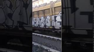 Treno merci E652 + 20 carri