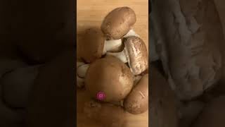 mushroom risotto #shorts #youtubeshorts