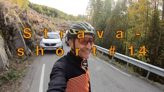 STRAVA-SHORT #14