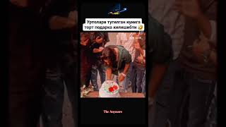 Уртогларим тугулган кунга торт падарка қилишибди#instagram #tiktok #youtubeshorts #omad #uzbekistan😅