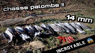 Chasse Palombe /14mm/ HIVERNAGE