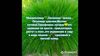 #garden☘️,,Названия трав для сада🍃,,💚💫#сад #gardening