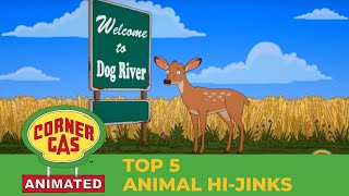 Top 5 Animal Pranks | Corner Gas Animated