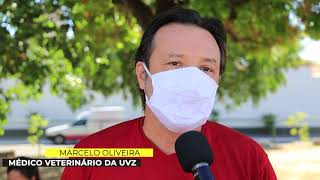 UVZ vacina mais de 17 mil cães e gatos no Dia “D” antirrábica