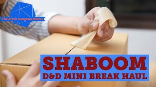 Shaboom D&D Mini Brick Break Haul Unboxing Arctic Dungeon Master