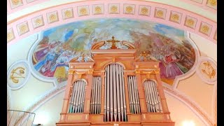 Kapuvári Szent Anna-templom orgonája 🙏🎹