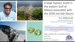 W3 Seminar: A large hypoxic event in the Gulf of Mexico associated with the 2018 red tide bloom