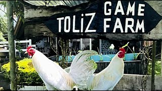 Lets Visit The Farm Of Toliz Gamefarm