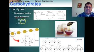 Lesson 2.3 Carbon Compounds and Macromolecules