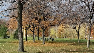 Christie Pitts Park in Toronto